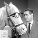 It’s not quite Mr. Ed territory, but the new study shows that horses can communicate with symbols.